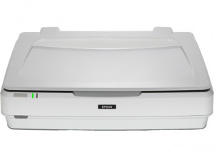 Epson Expression 13000XL Scanner piano 2400x4800 DPI A3 Bianco
