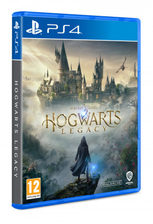 Warner Bros Hogwarts Legacy Standard PlayStation 4