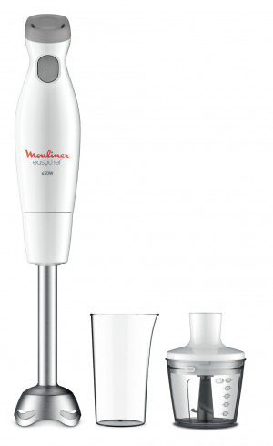 Mixer Moulinex DD4521 Easychef ad Immersione Bicchiere da 800 ml 450 W