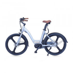 E-Bike Lexgo C26  Bicicletta Elettrica Argento Doppio Freno a Disco Velocita' Regolabile Tramite il Display sul Manubrio